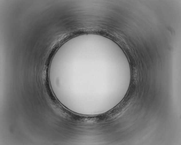 X0000113060495200908280951
