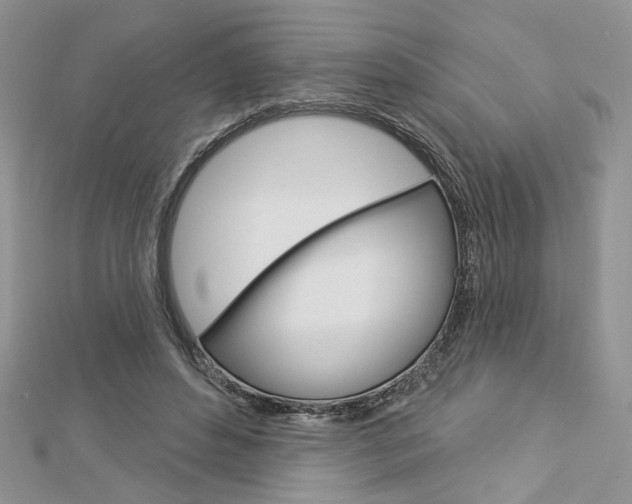 X0000113060496200908280950