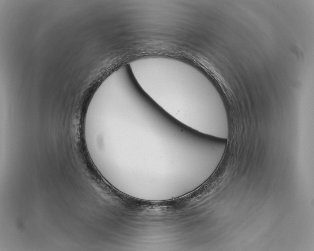 X0000113060497200908280950