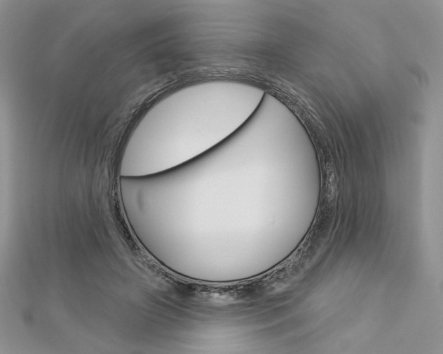 X0000113060498200908280950