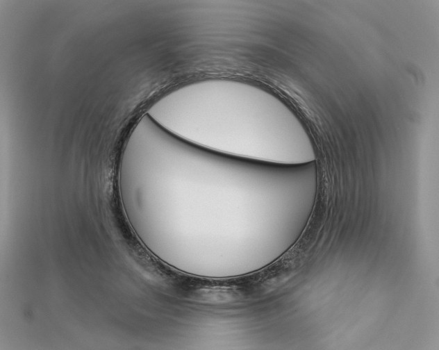 X0000113060499200908280950