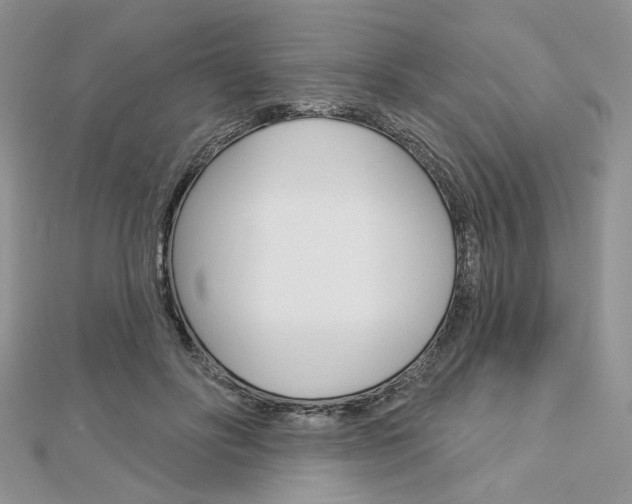 X0000113060502200908280950