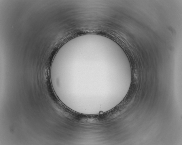 X0000113060503200908280950