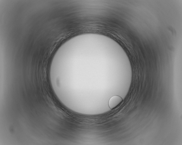 X0000113060504200908280950