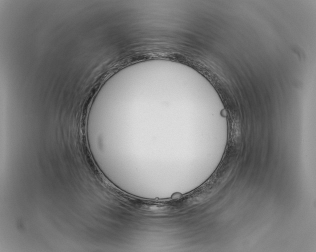 X0000113060506200908280950
