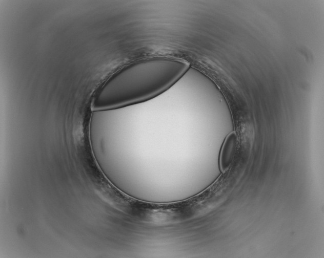 X0000113060508200908280950