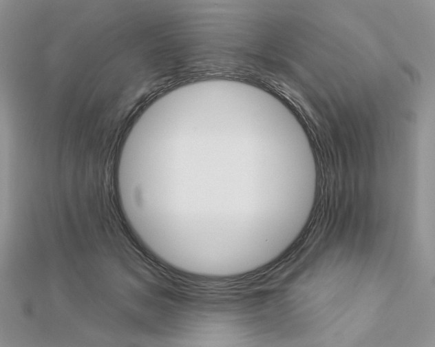 X0000113060509200908280950