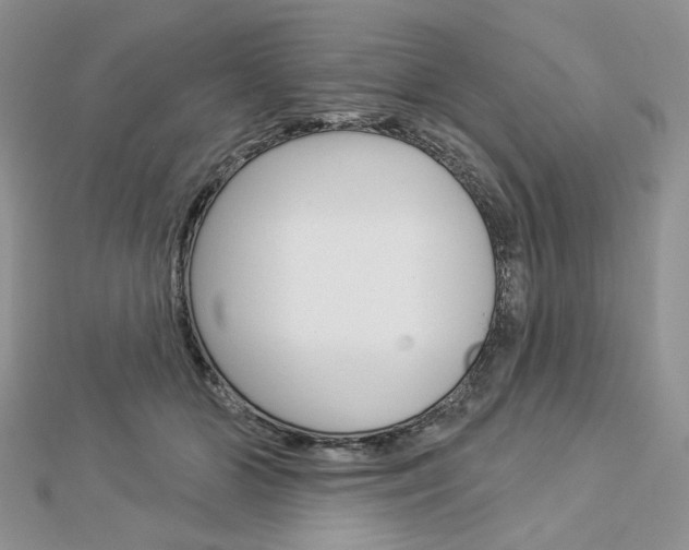 X0000113060510200908280950