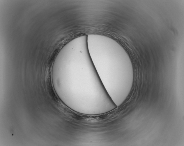 X0000113060511200908280950