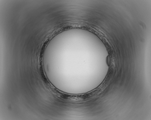 X0000113060512200908280950