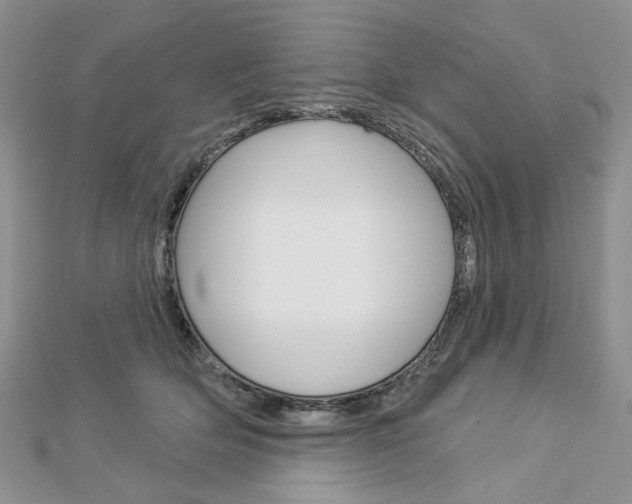 X0000113060514200908280950
