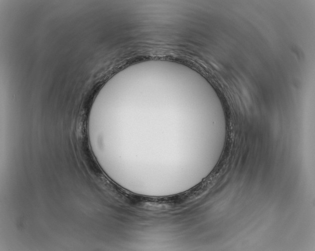 X0000113060515200908280950