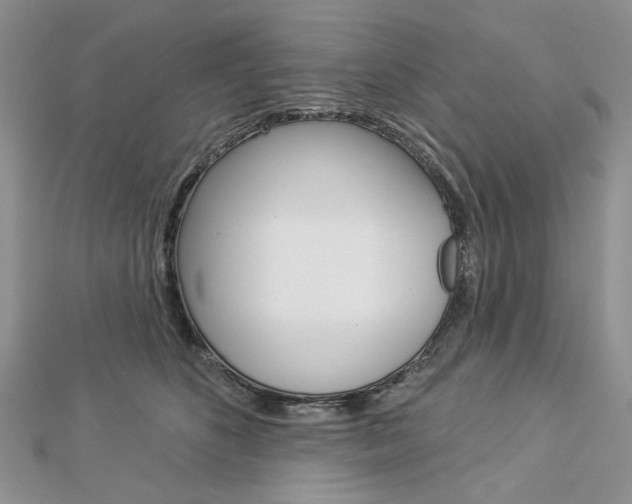 X0000113060516200908280950