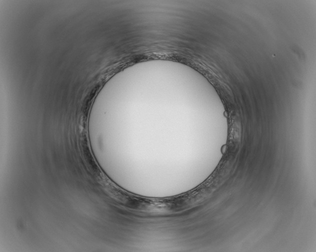 X0000113060518200908280950
