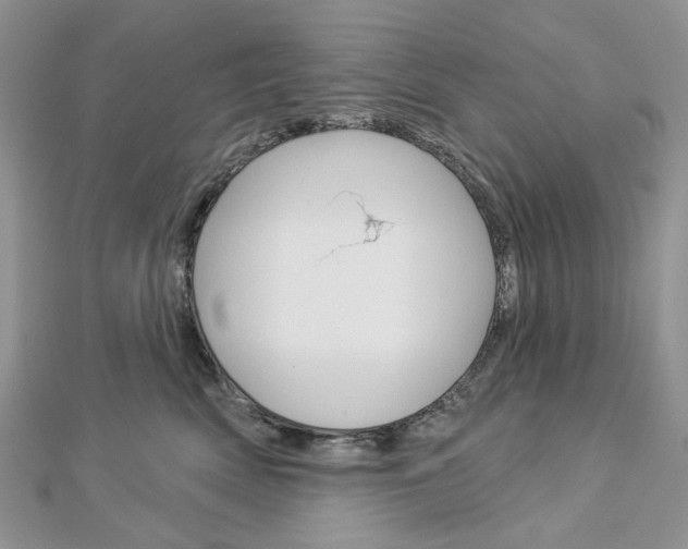 X0000113060522200908280950