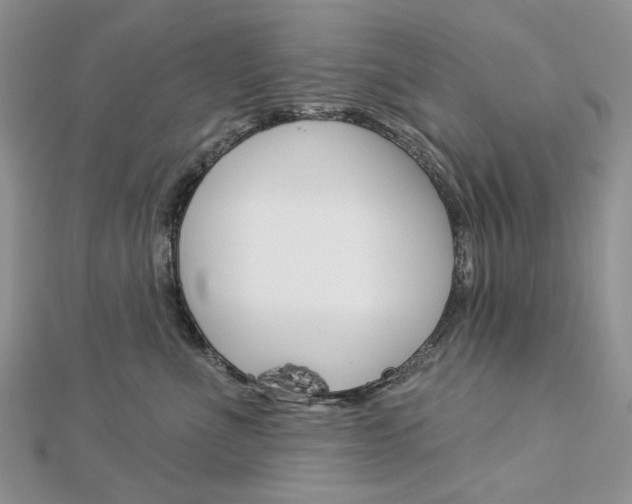 X0000113060523200908280950