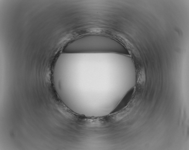 X0000113060524200908280950