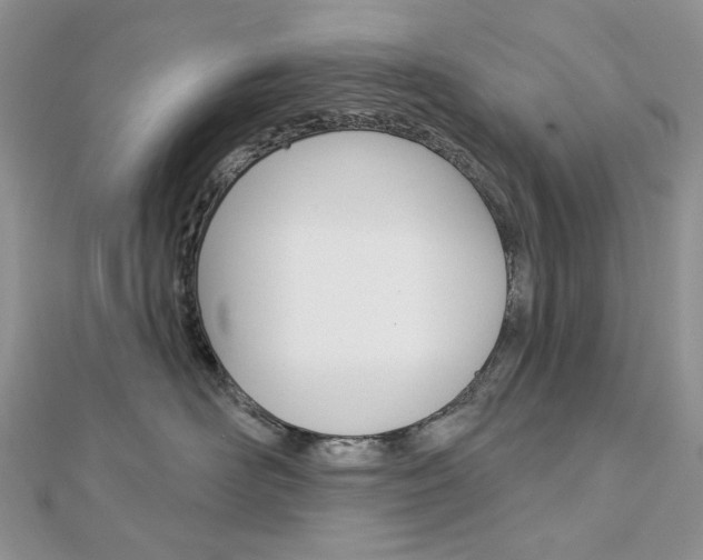 X0000113060526200908280950