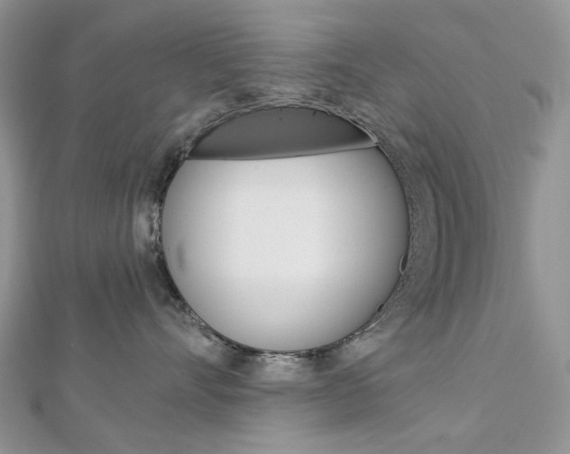 X0000113060528200908280950