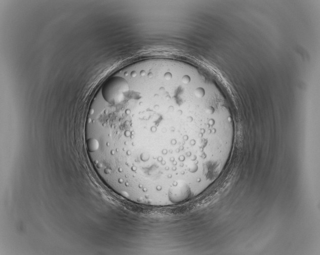 X0000113060529200908280949