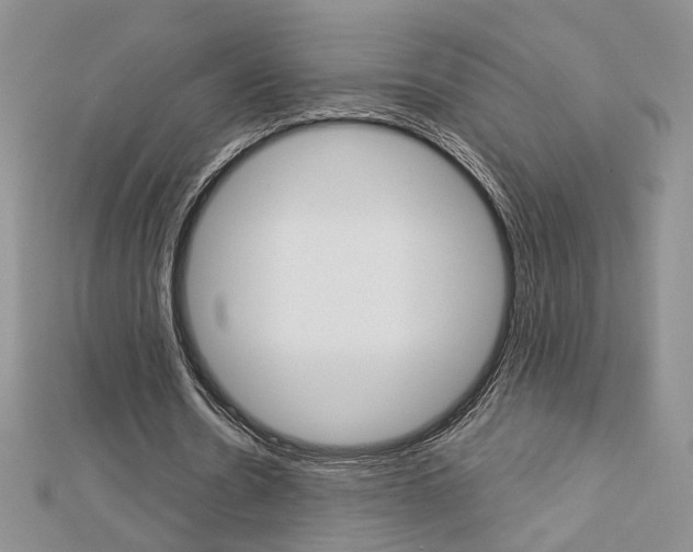 X0000113060530200908280949