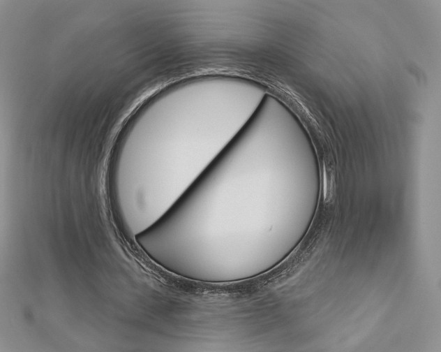 X0000113060531200908280949