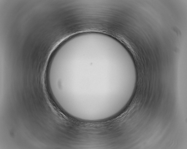 X0000113060532200908280949