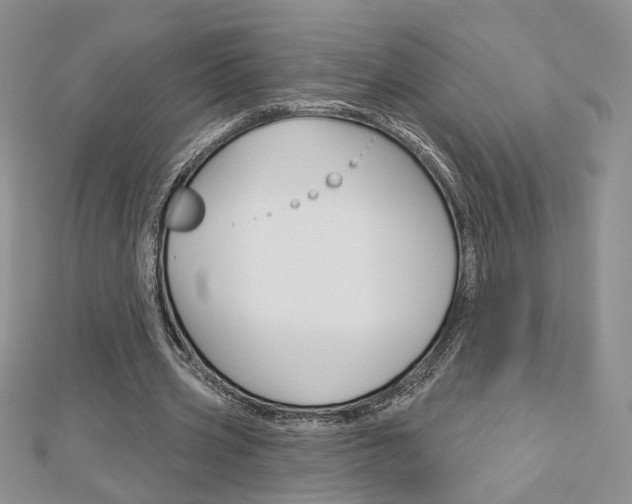 X0000113060533200908280949