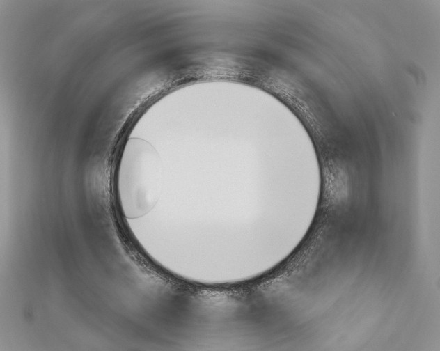 X0000113060534200908280949