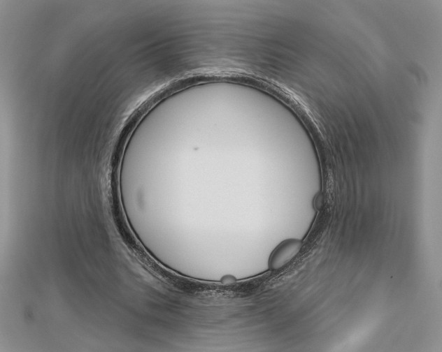 X0000113060535200908280949