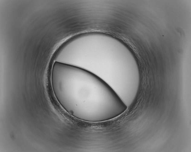 X0000113060536200908280949