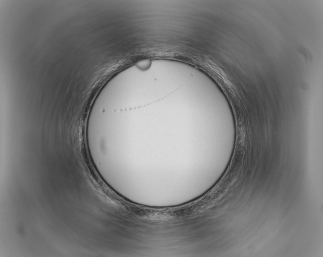 X0000113060537200908280949
