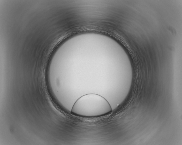 X0000113060538200908280949
