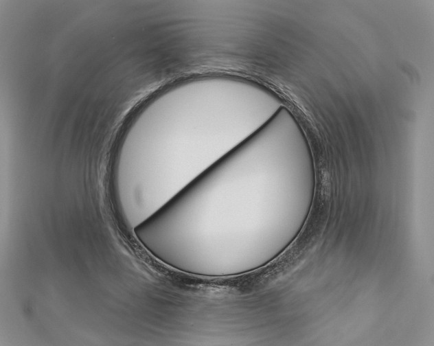 X0000113060539200908280949