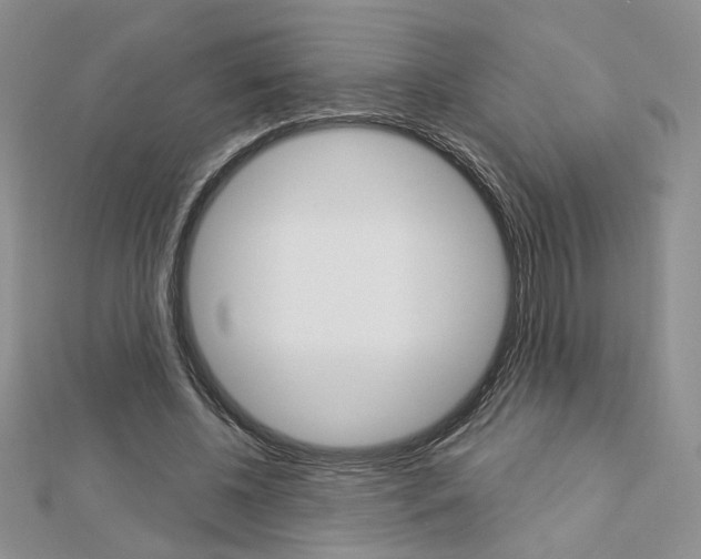 X0000113060540200908280949