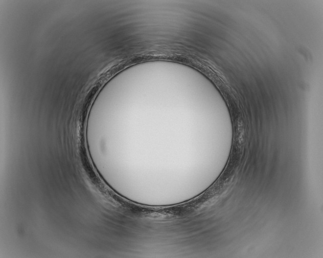 X0000113060542200908280949