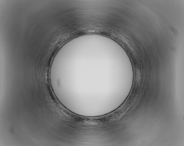 X0000113060545200908280949