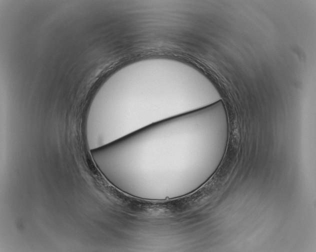 X0000113060547200908280949
