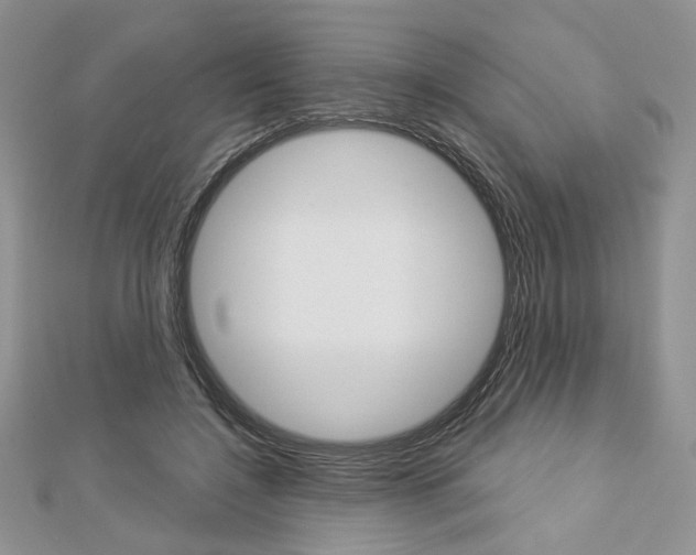 X0000113060548200908280949