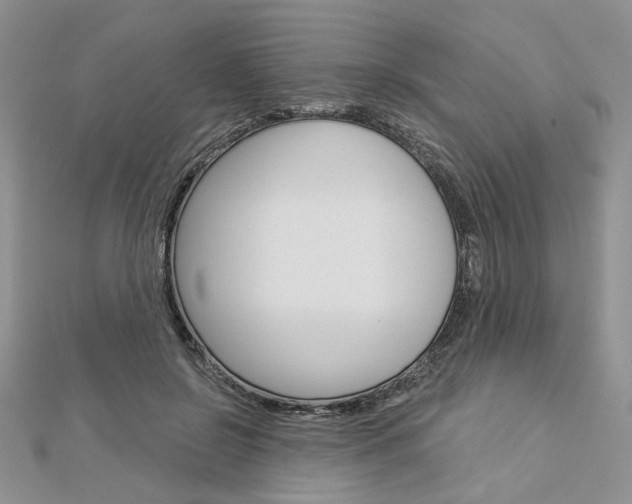X0000113060550200908280950