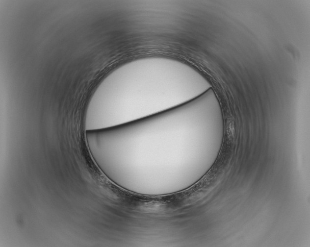 X0000113060551200908280950