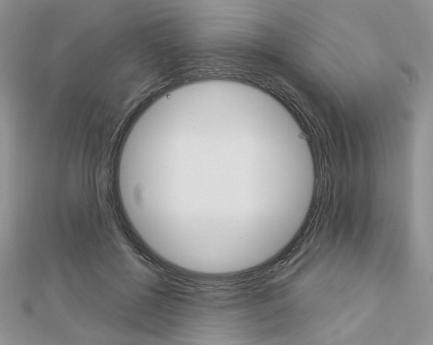 X0000113060552200908280950