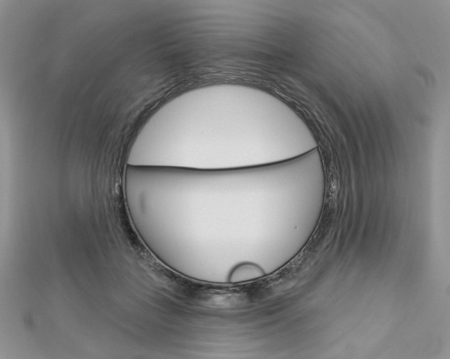 X0000113060555200908280950