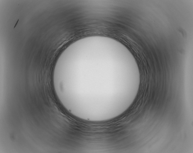 X0000113060556200908280950