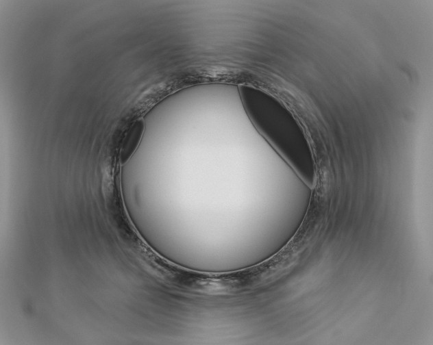 X0000113060558200908280950