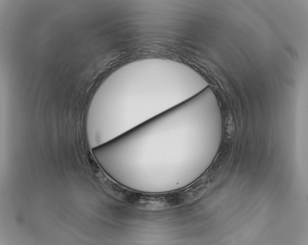 X0000113060559200908280950