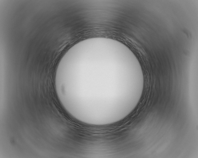 X0000113060560200908280950