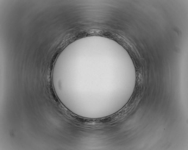 X0000113060561200908280950
