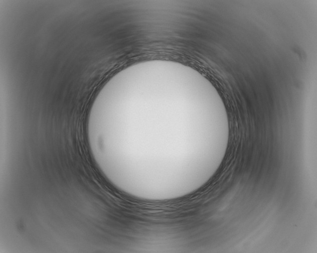 X0000113060562200908280950