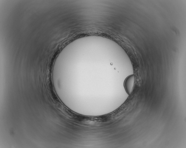 X0000113060563200908280950